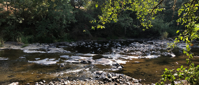 Scotts Mills Park